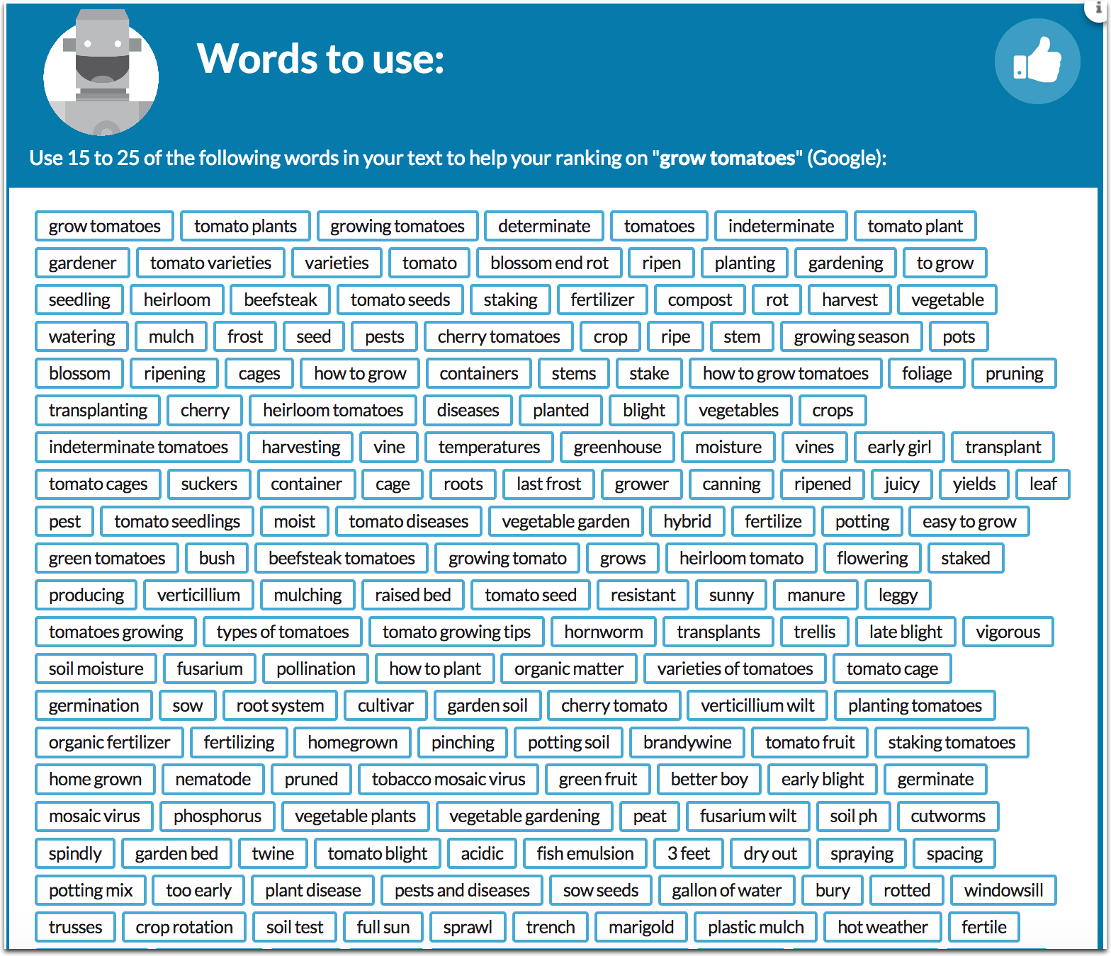 text optimizer related keywords