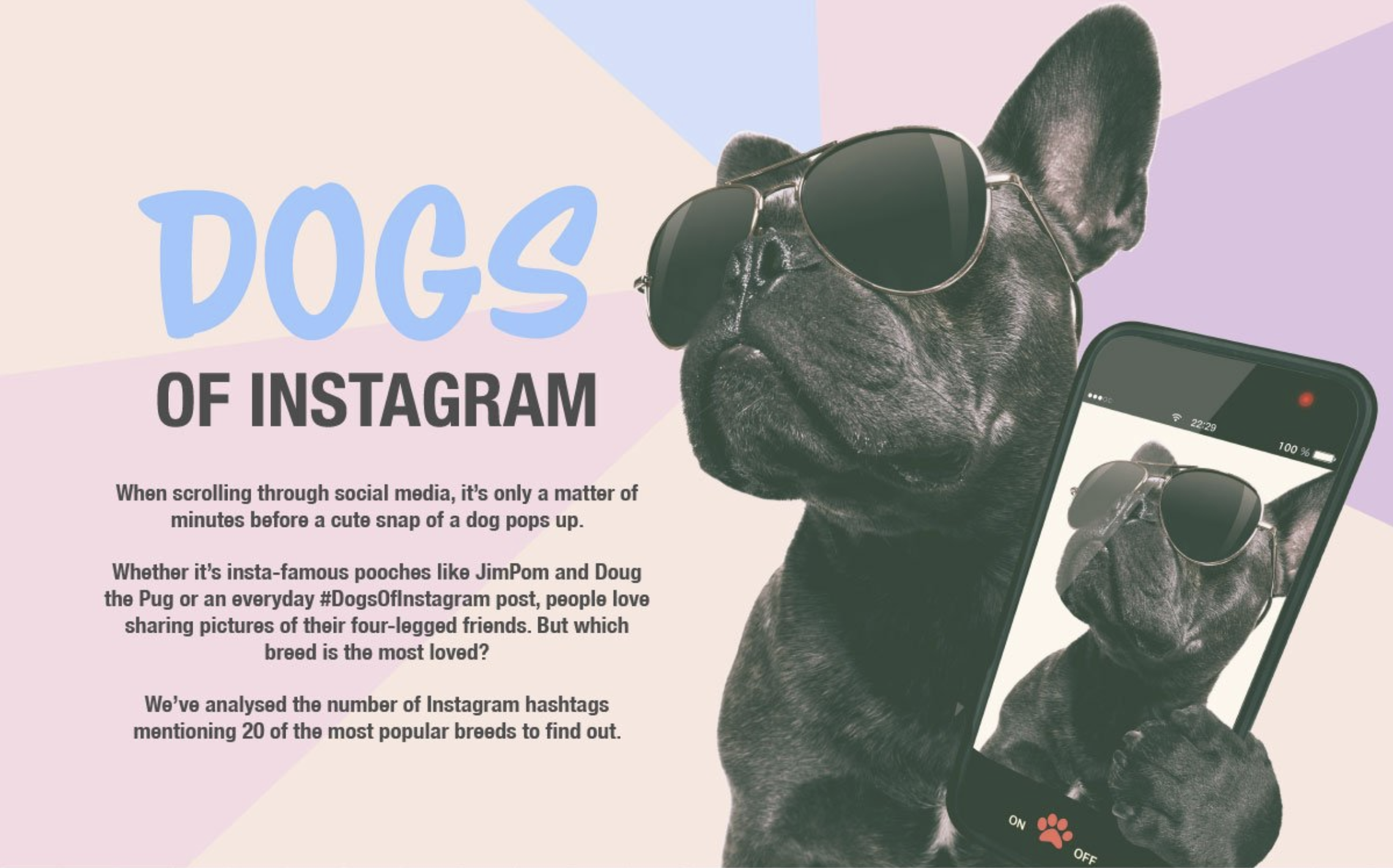 MyVoucherCodes' Dogs of Instagram campaign