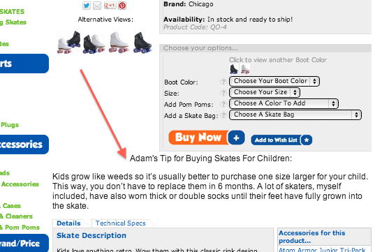 Capture d'écran de la façon dont RollerskateNation a ajouté le conseil pro d'Adam à la page pour augmenter les ventes 