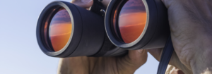 Social media insights in a time of social distancing: The relationship between paid and non-paid social