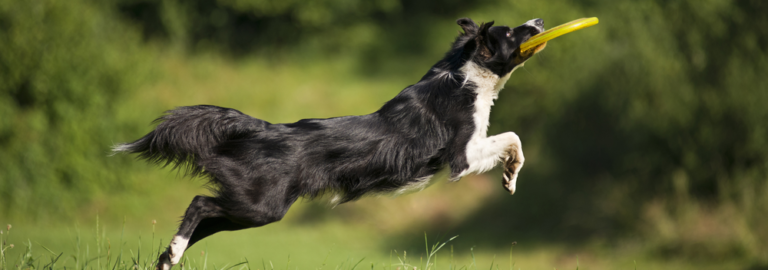 How to teach an old blog new SEO tricks