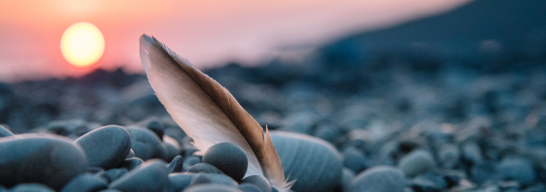 Image SEO Best practices and tips for image optimization