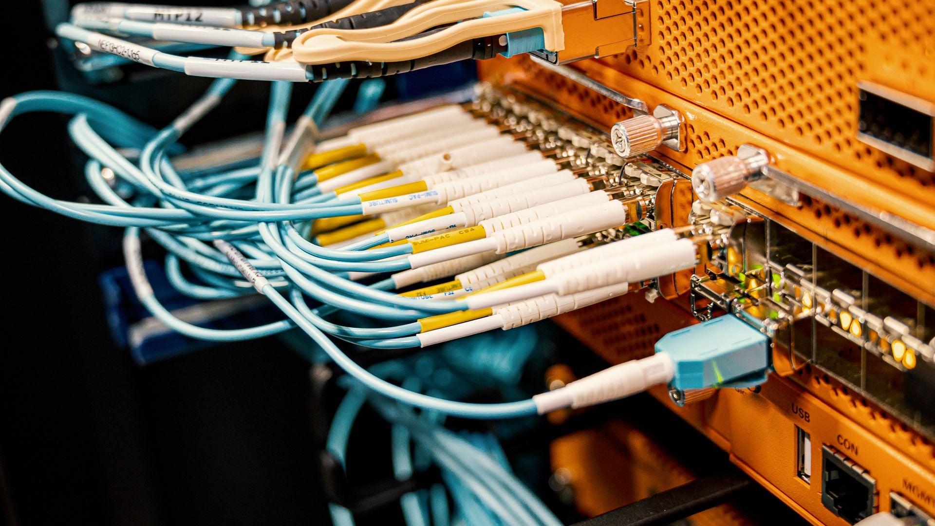 A close view of cables connected to network equipment