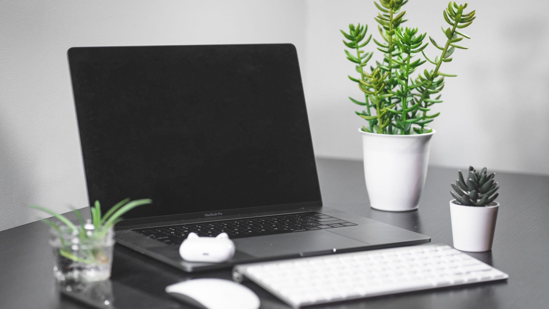 MacBook Pro on a desk with a keyboard and potted plants