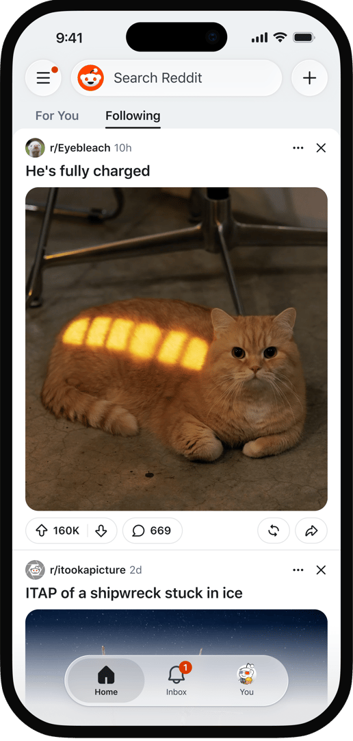 Reddit Following tab selected above posts from joined communities