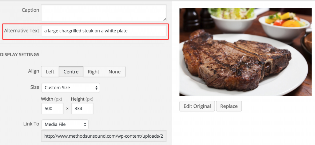 alt-text example in wordpress