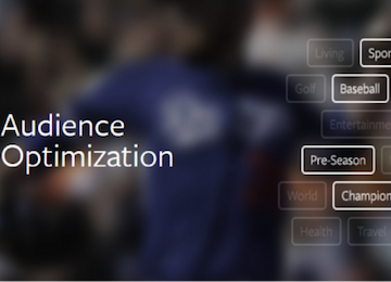 facebook audience optimization