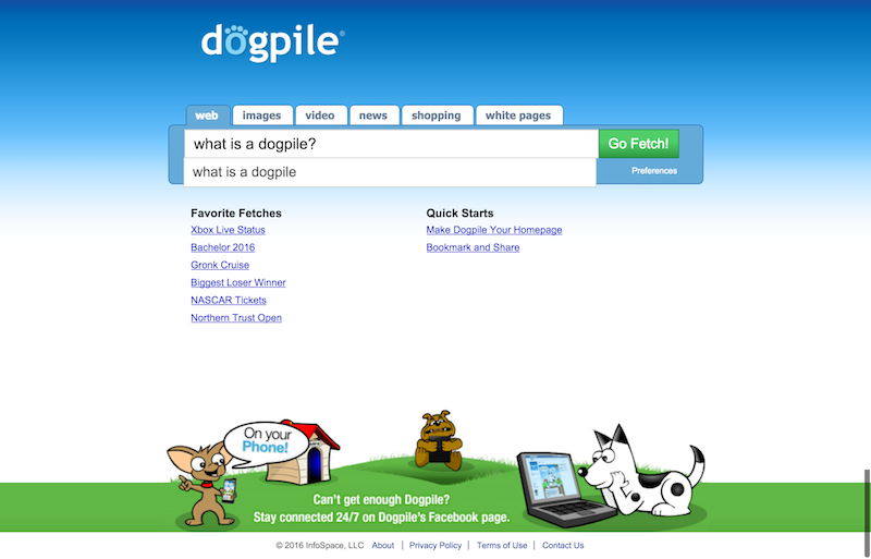 Dogpile Web Search