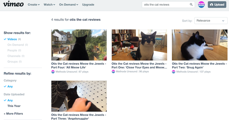 otis the cat reviews in videos on Vimeo