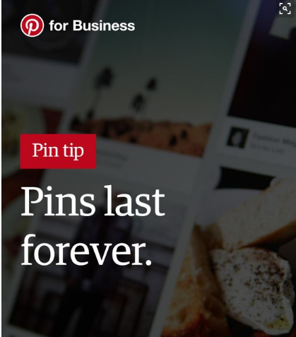 pinterest pins