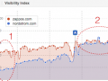 visibility-index-zappos.com-vs-nordstrom.com_.png