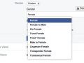 facebook gender options