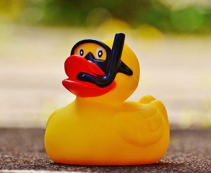 A novelty rubber duck wearing scuba diving gear.