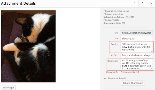 A screen capture showing how to write image captions, alt text and descriptions. The photo on the left is of a sleeping cat, while the alt text describes it and the description gives more information about what the photo contains.