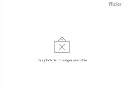 seoquake-search-results