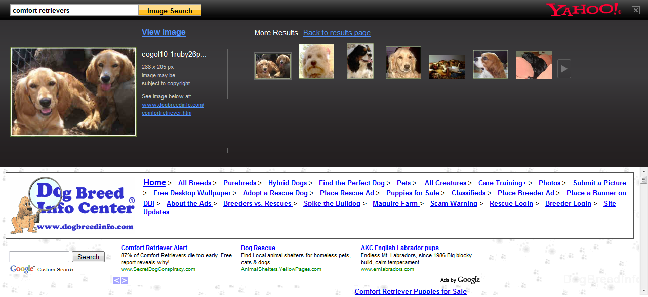 yahooimagesearchpreview040609.png