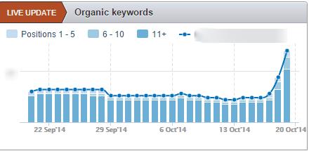 penguin-keywords-ranking