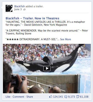 Blackfish Facebook News Feed Ad