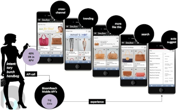 bloomreach-shopping-experiences