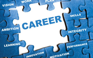 Career jigsaw
