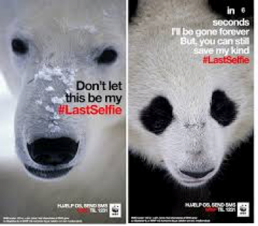 wwf-selfies
