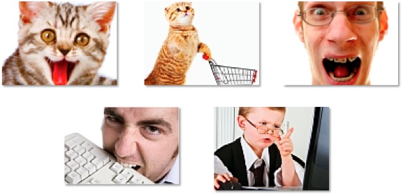 facebook-ad-images-cute-funny