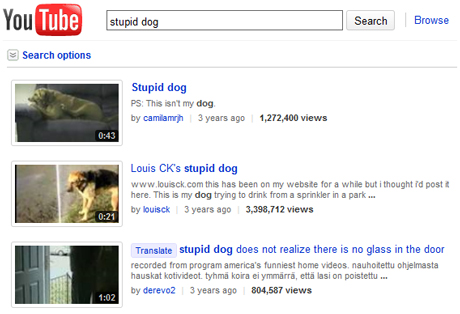 YouTube Stupid Dog results