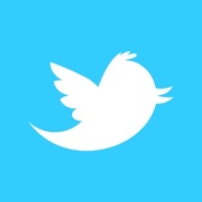 twitter-newbird-boxed-whiteonblue