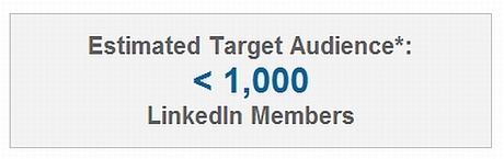 LinkedIn Estimated Target Audience