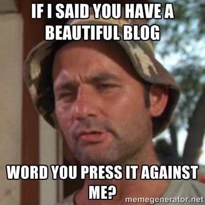 If I Said You Have a Beautiful Blog...