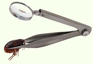 magnifytweezers-flea