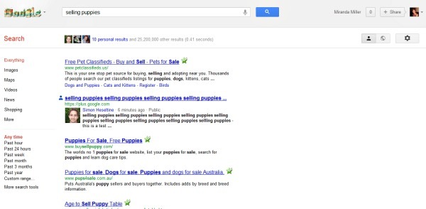 Signed in search results for selling puppies