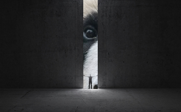 panda-relapse-door panda-relapse-door