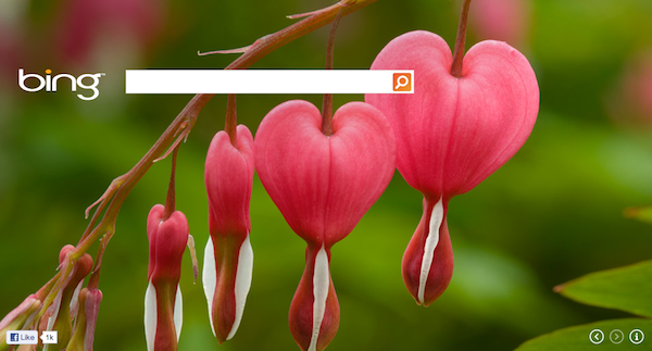 bing-valentines-day-2012