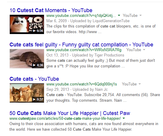 Cute Cats Video Results