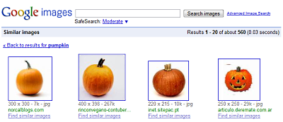 googlesimilarimage102809results.png