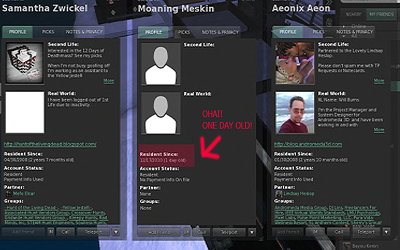 viewerexperiment (1).png