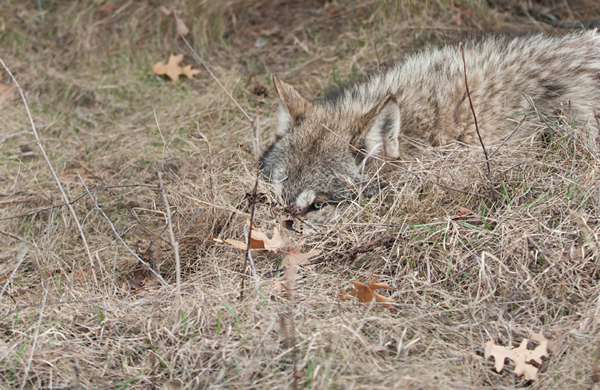 hidden-danger hidden-danger