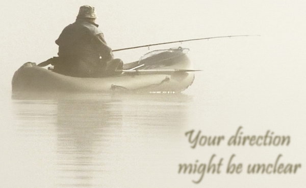 Your Direction Might be Unclear