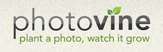 Photovine Logo