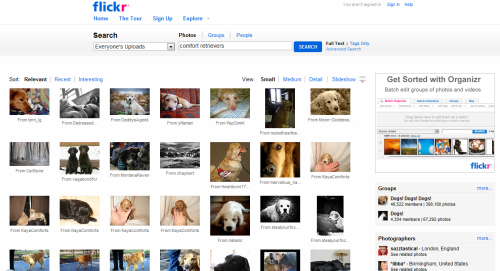 flickrupdatesearch080509.png