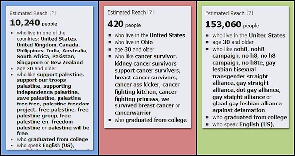 facebook-ad-segments-related-orgs2